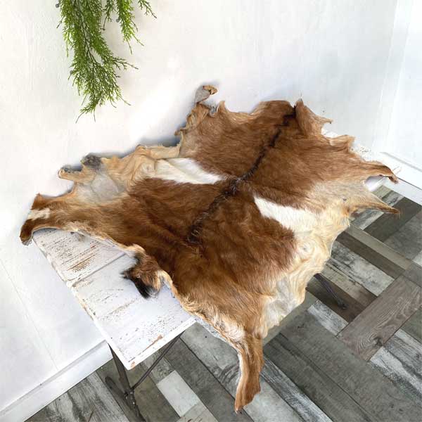 楽天市場】ゴートファーラグ（山羊毛皮）の通販