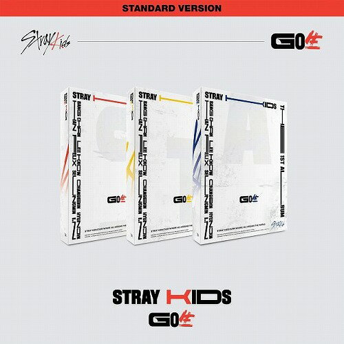 楽天市場】stray kids go生の通販