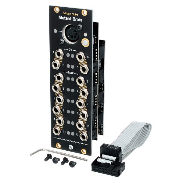 Hexinverter Électronique Mutant Brain – Musikhaus Thomann