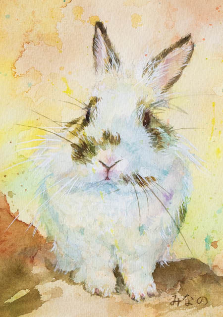 うさぎさんを描きました。｜木彫りうさぎのパパ。ティムのブログ