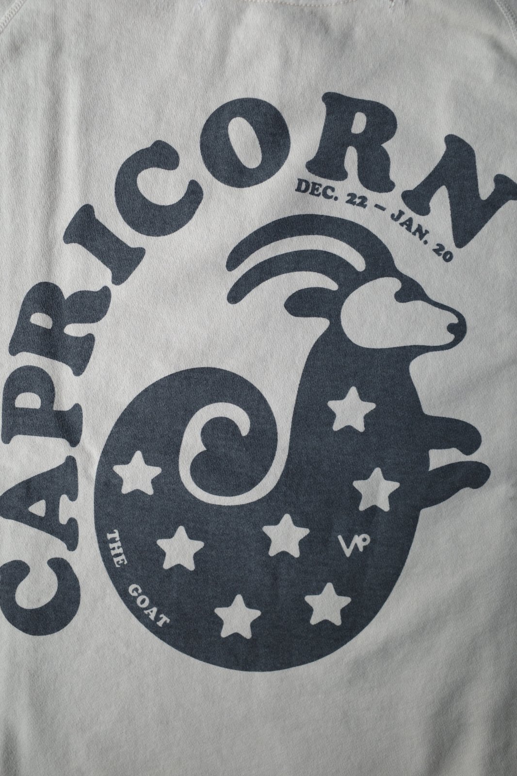 NEXUSVII. CAPRICORN CREW SWEAT・BEIGE - tity