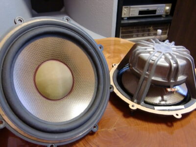 DIATONE スピーカー DS-1000 希少なボロン振動板の凄い綺麗な音質