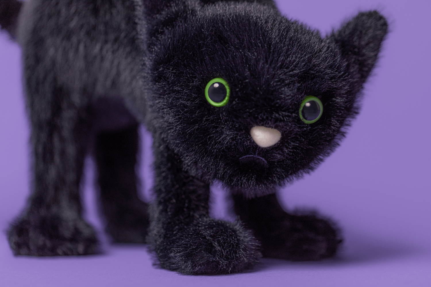 Jellycat Spookipaws Cat | toot garook