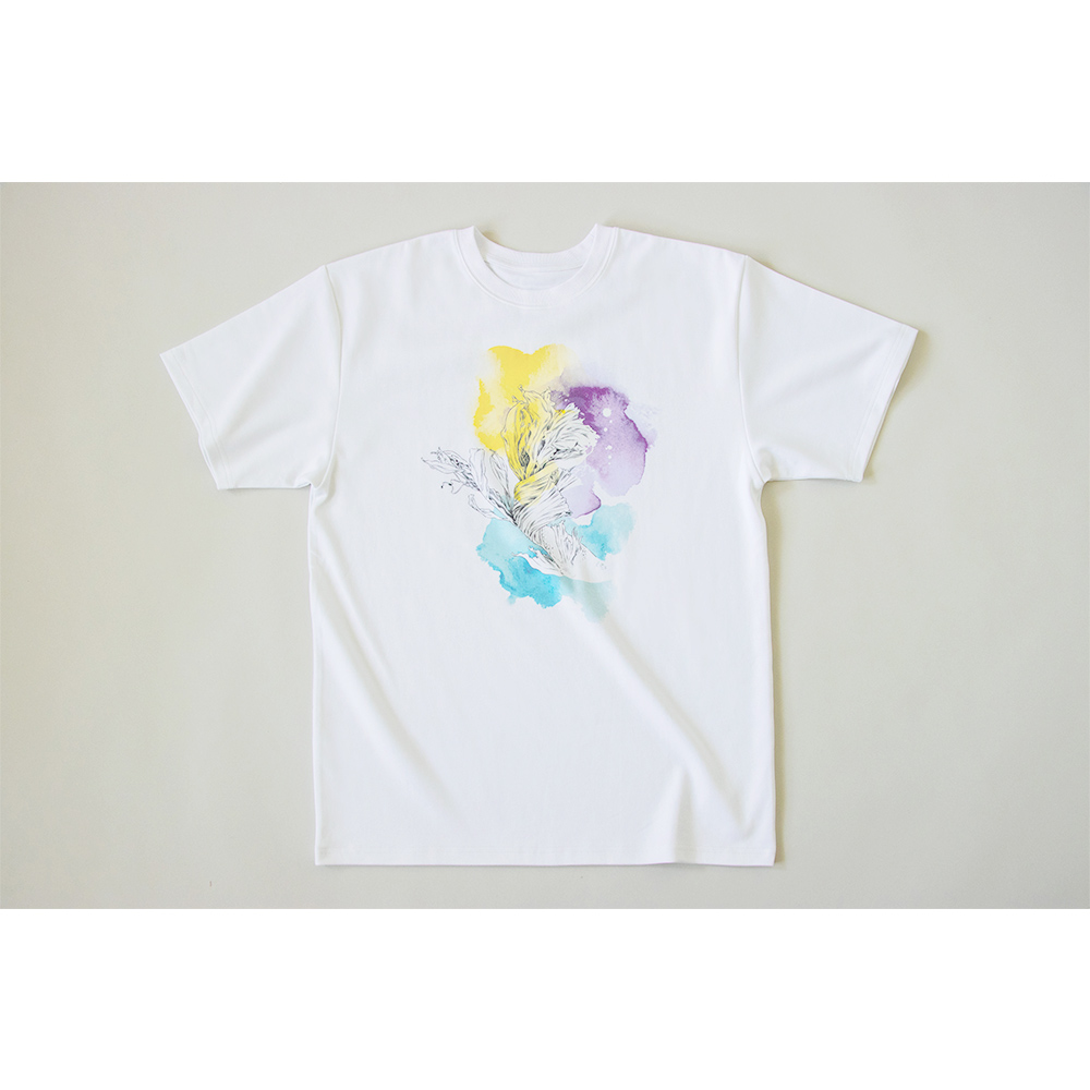 French' Acrylic Plate Art | TOoKA BASE