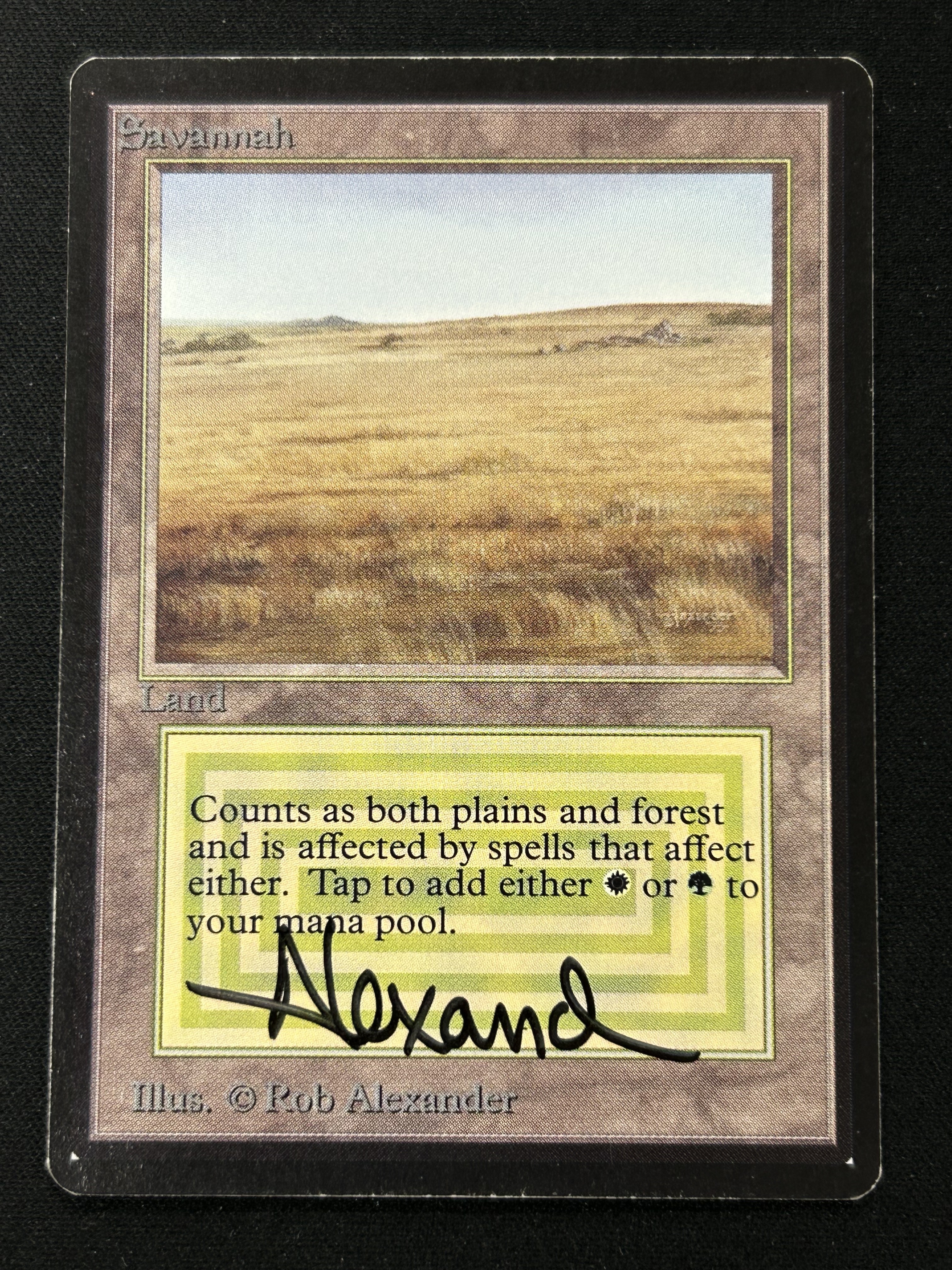 MTG専門店|東京MTG】MTGカード・アート通販サイト