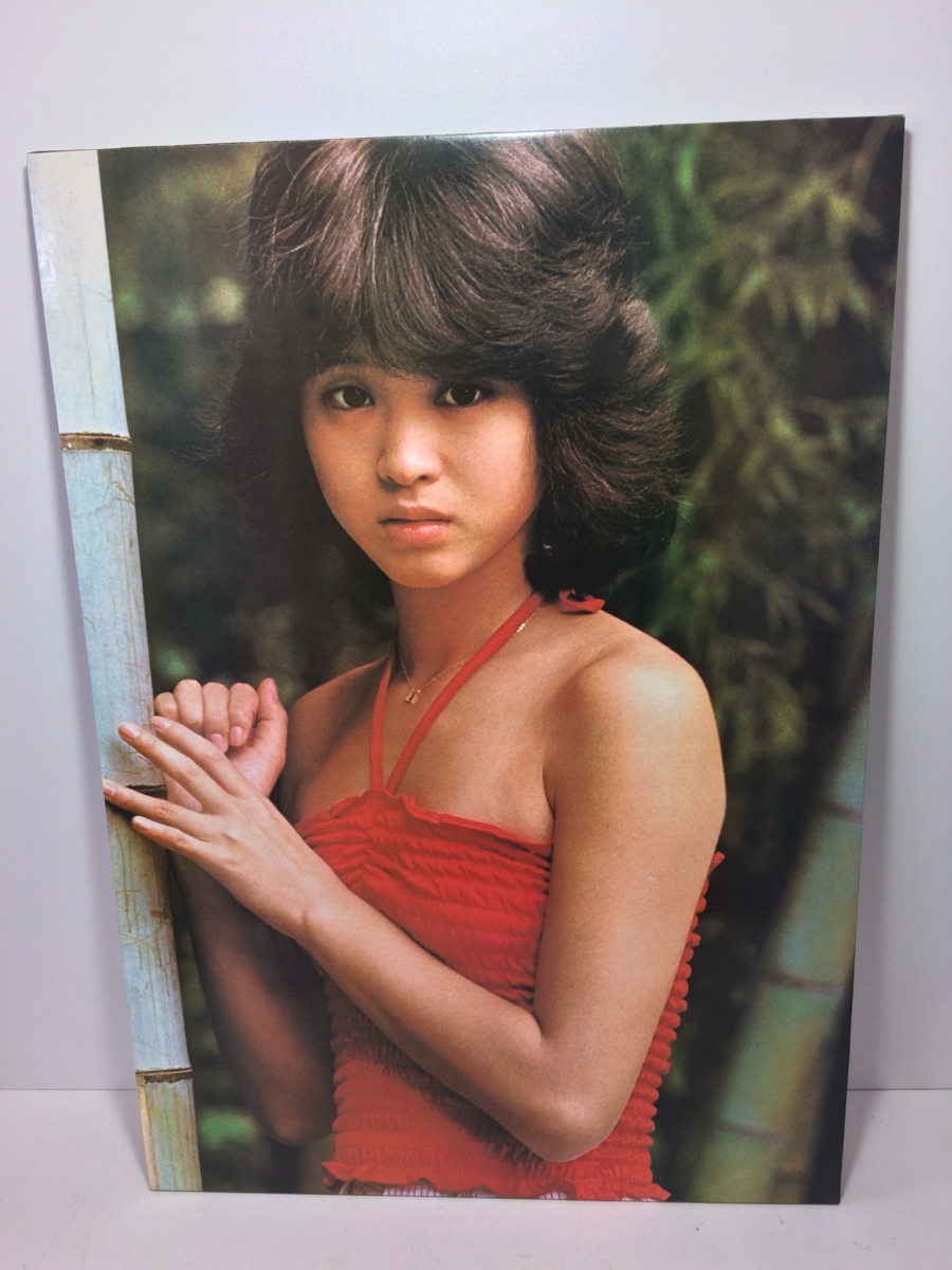 松田聖子＜木製フレーム 大型パネル＞◇縦約57㎝×横約40㎝×厚さ約1