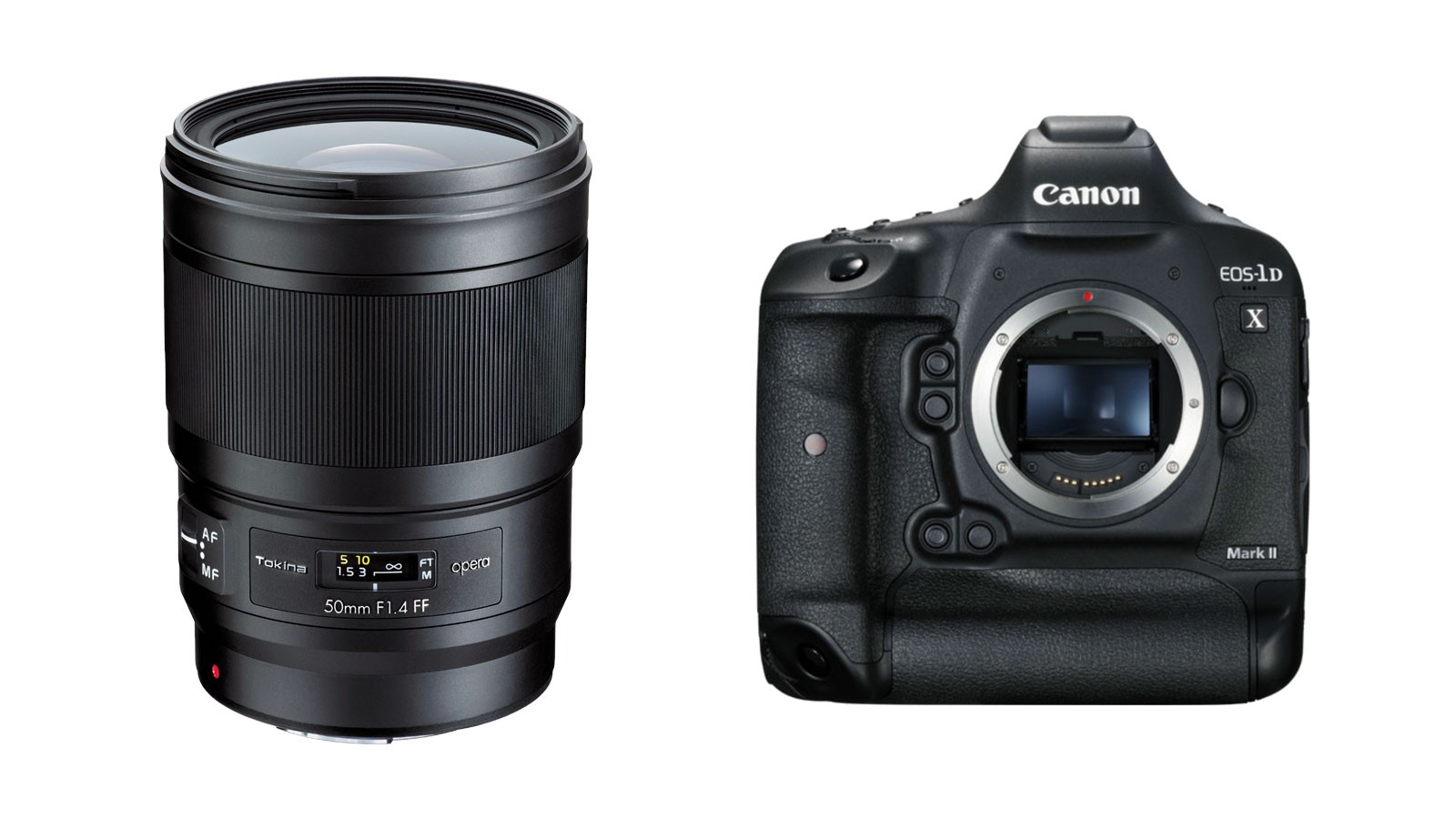 5be06ad01e7d2.jpg?w=500&fit=max