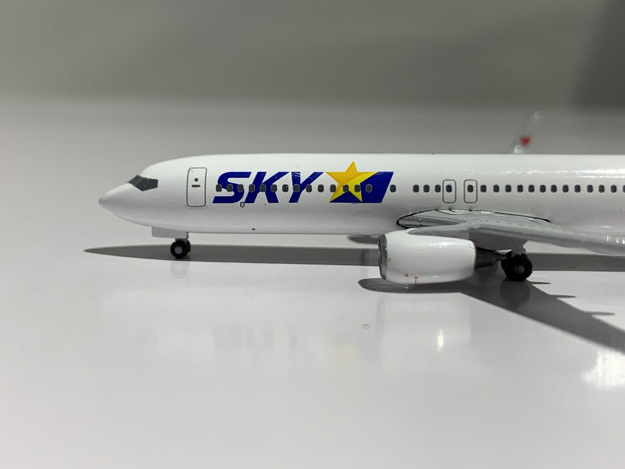 クロスウイング B737-800w スカイマーク SKYMARK AIRLINES JA73NF
