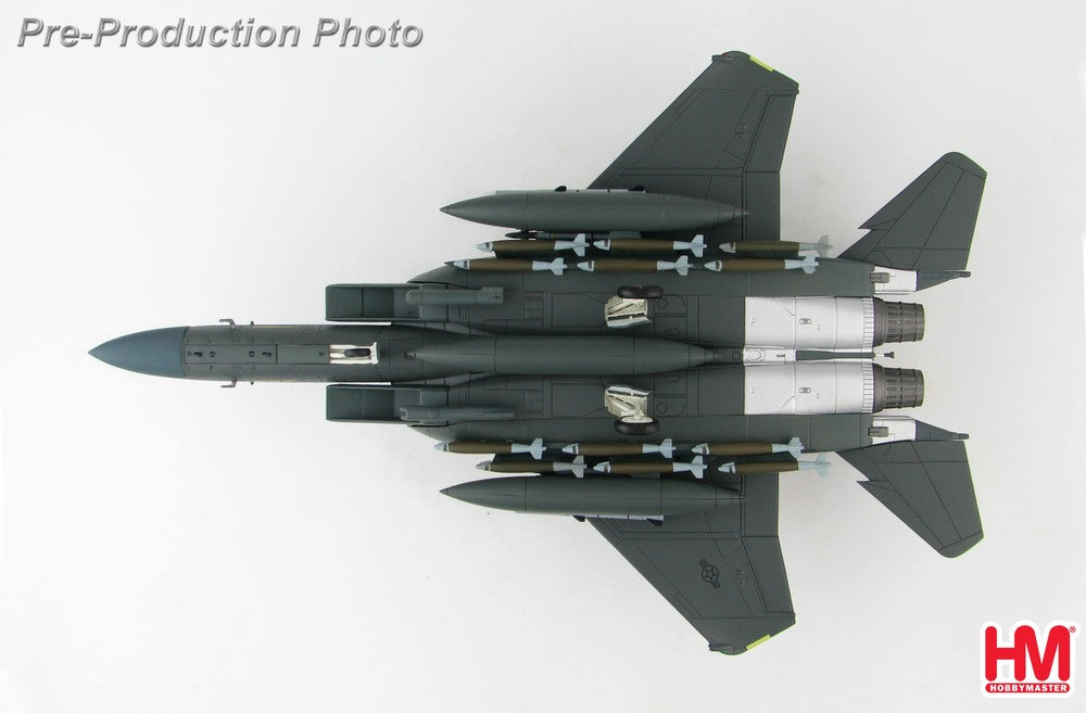 Hobby Master F-15E 在欧アメリカ空軍 第48戦闘航空団 第494戦闘飛行隊