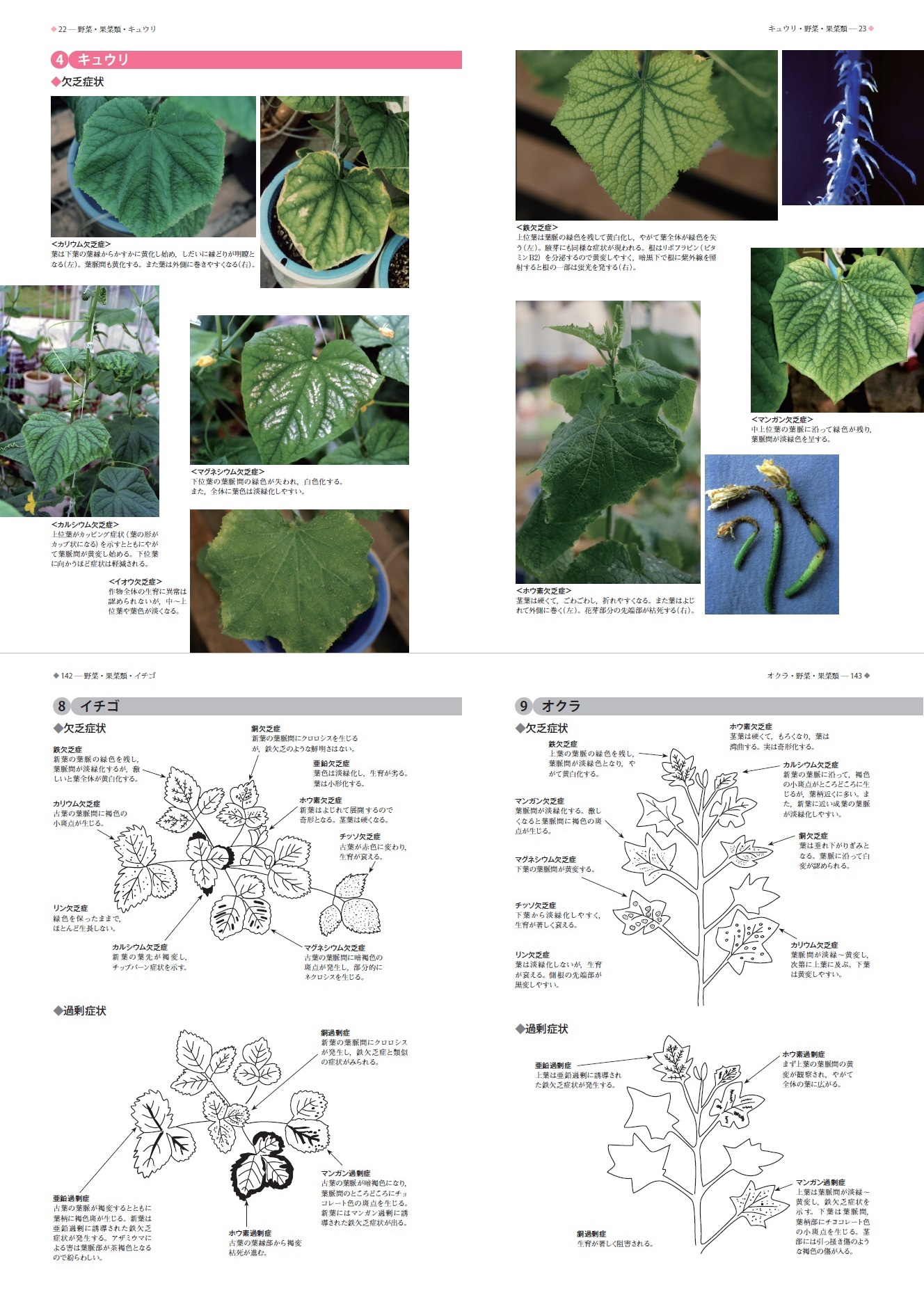新版要素障害診断事典 ｜ 編集室からとれたて便