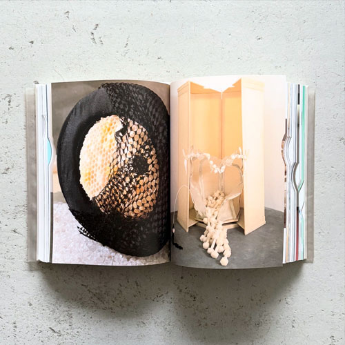 古書古本 Totodo: Matthew Barney: The Cremaster Cycle（マシュー