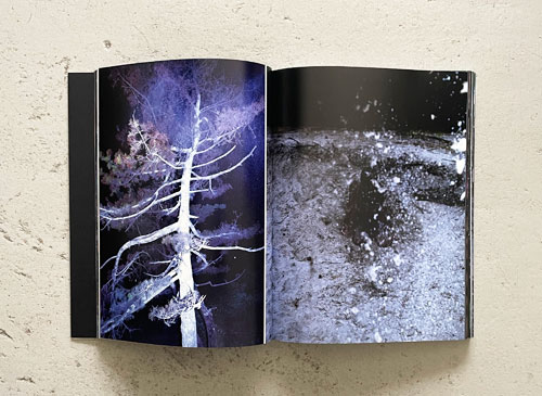 古書古本 Totodo: 志賀理江子 螺旋海岸 album（志賀理江子）