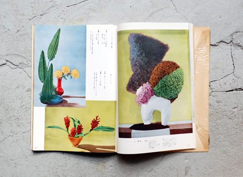 古書古本 Totodo：勅使河原蒼風作品集 新しいいけばなの指導書