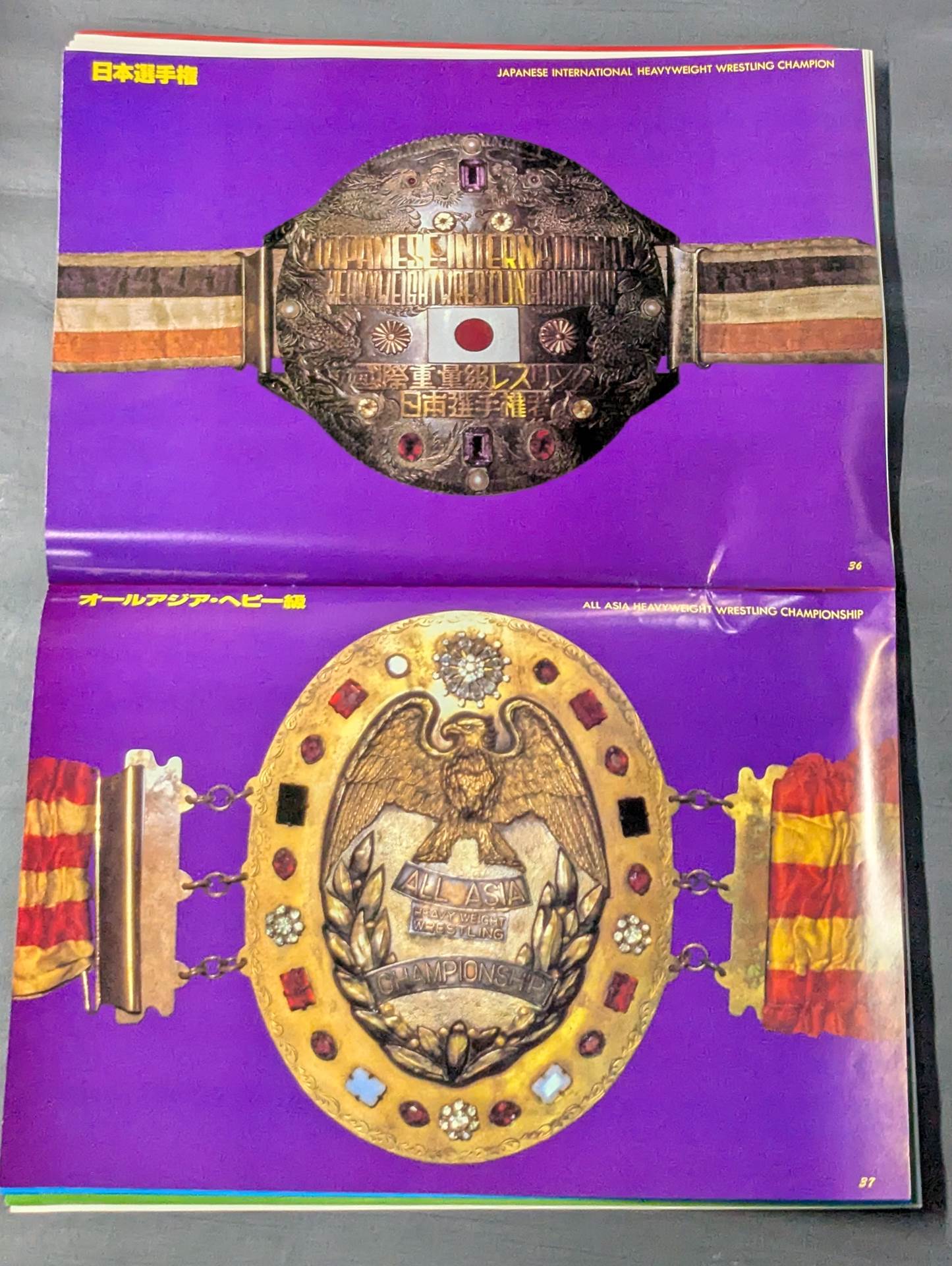 ☆実物大☆ 栄光の輝き プロレスチャンピオンベルト – 闘道館