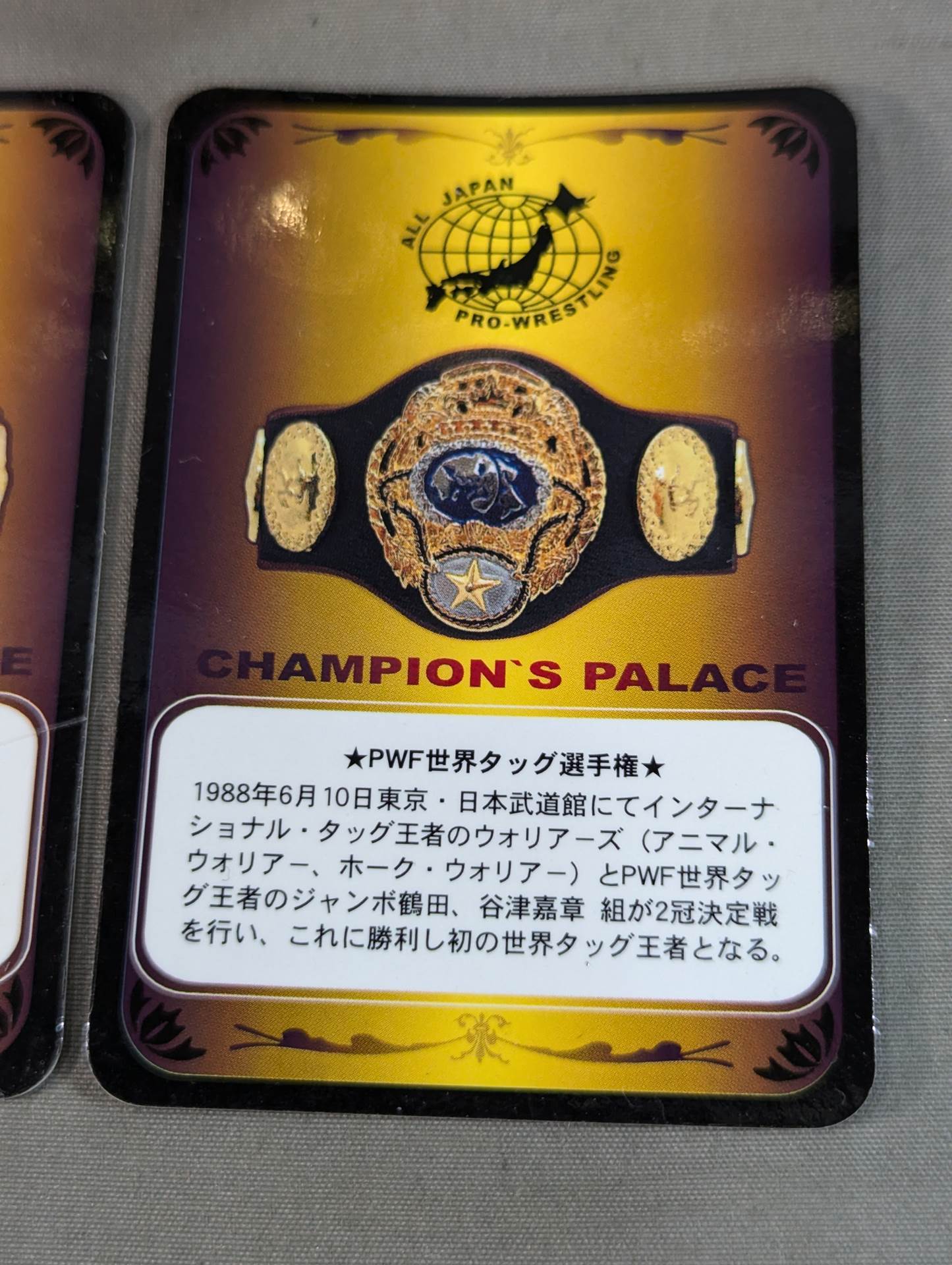 PWF認定世界タッグチャンピオンベルト – 闘道館