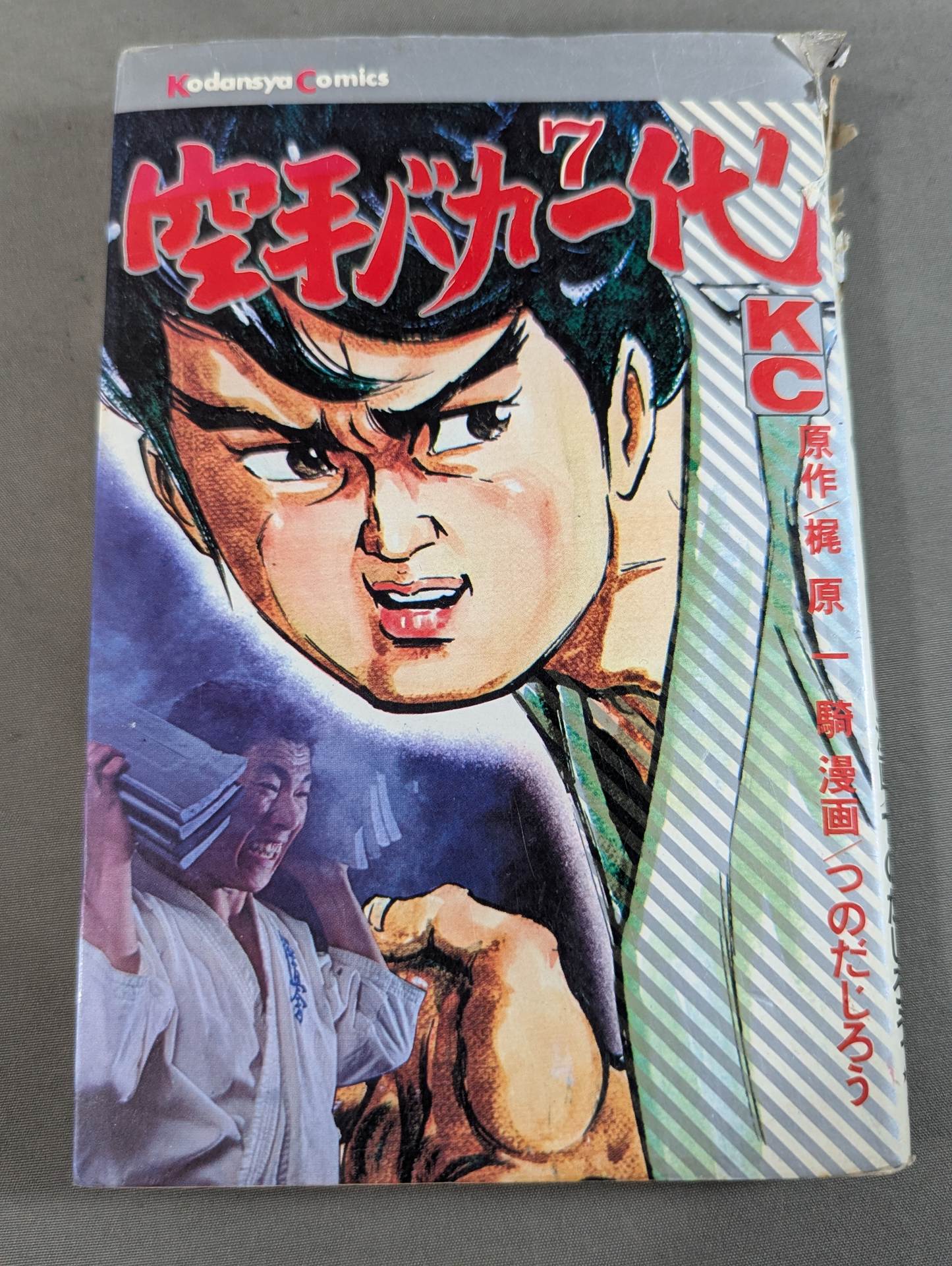 全29巻セット】空手バカ一代 – 闘道館