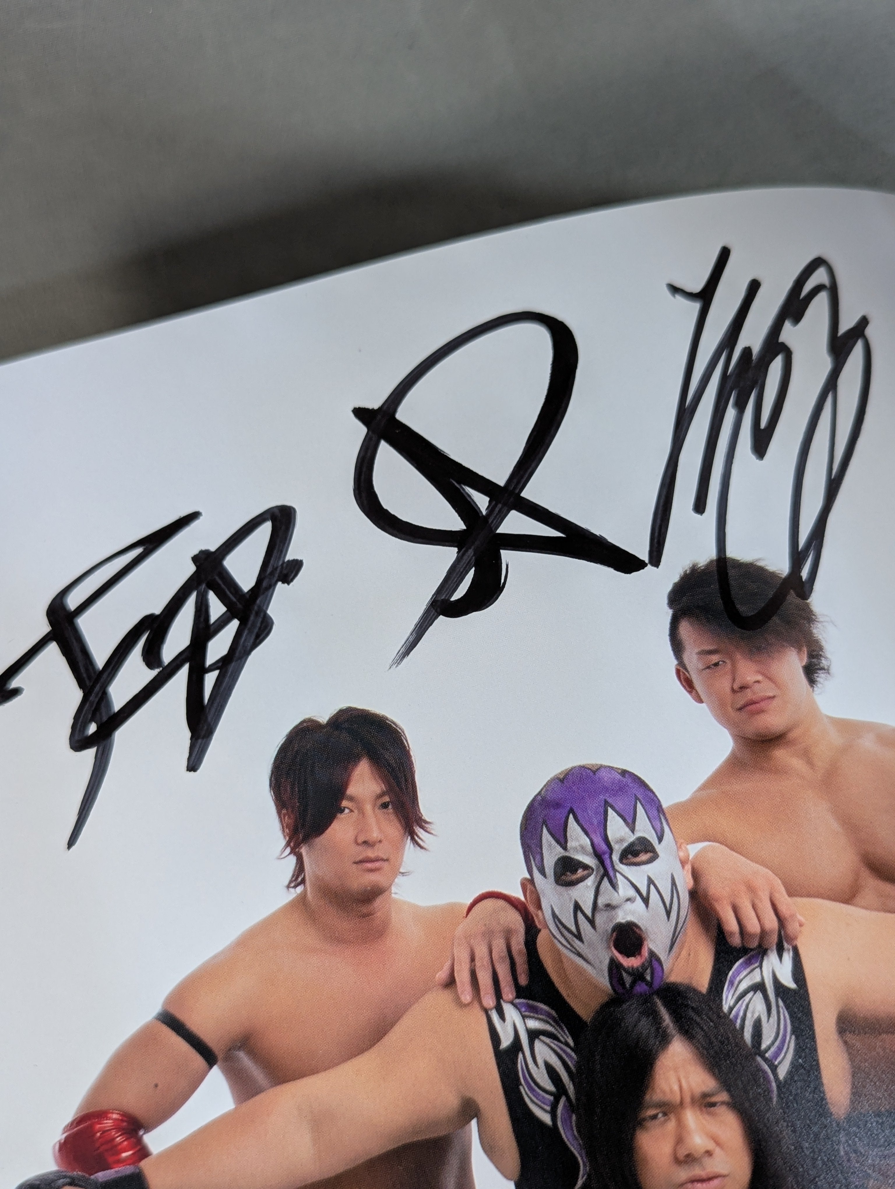 4選手直筆サイン入り】DAMNATION 写真集 ddtpp DDT PREMIUM PHOTO 06