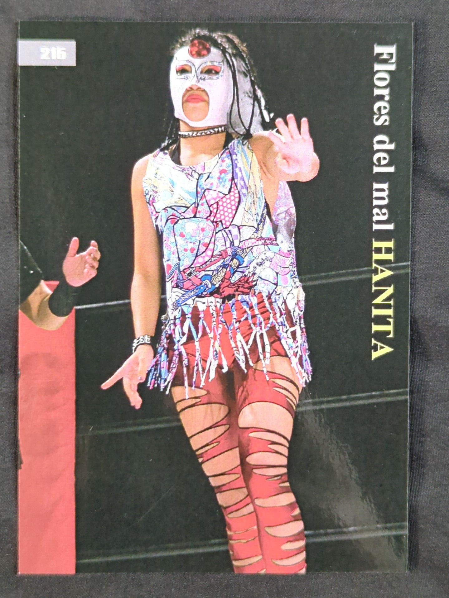 2019 STARDOM COLLECTION CARD 木村花(ラ・ハニータ) 公式サインカード