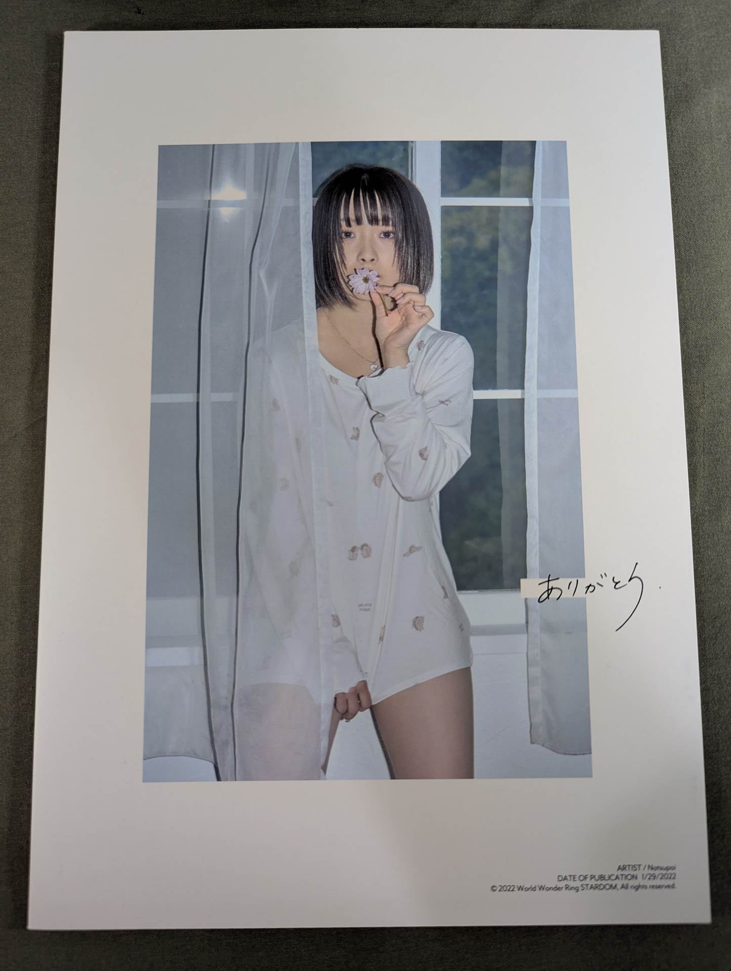 直筆サイン入り】なつぽい 写真集 ぽい拾い。 – 闘道館