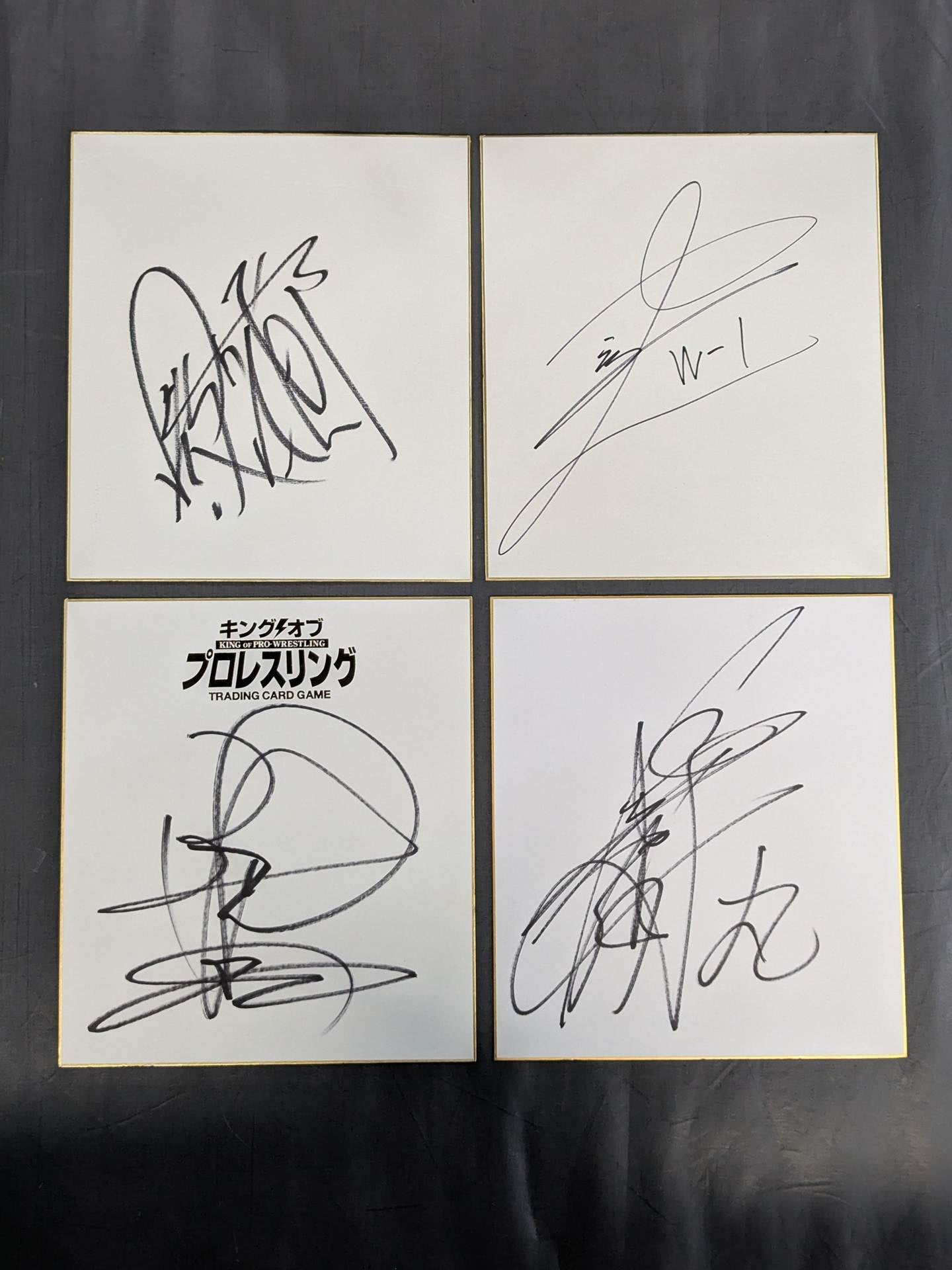 国内プロレスラー サイン色紙セット⑧ – 闘道館