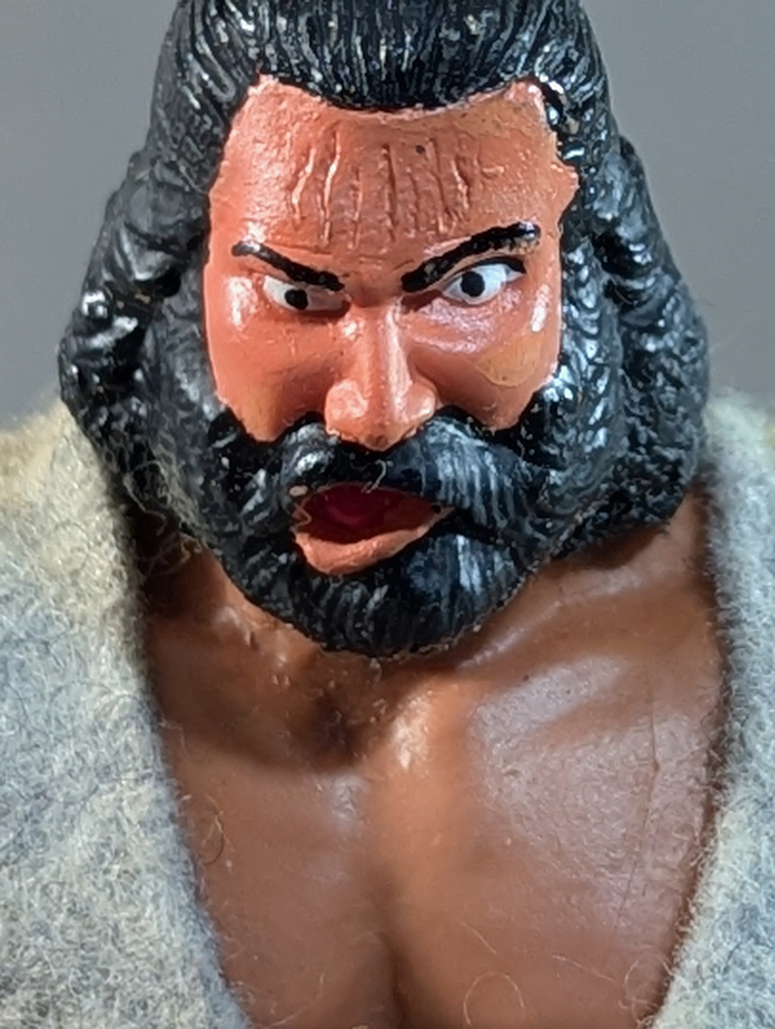 ブルーザー・ブロディ – 闘道館