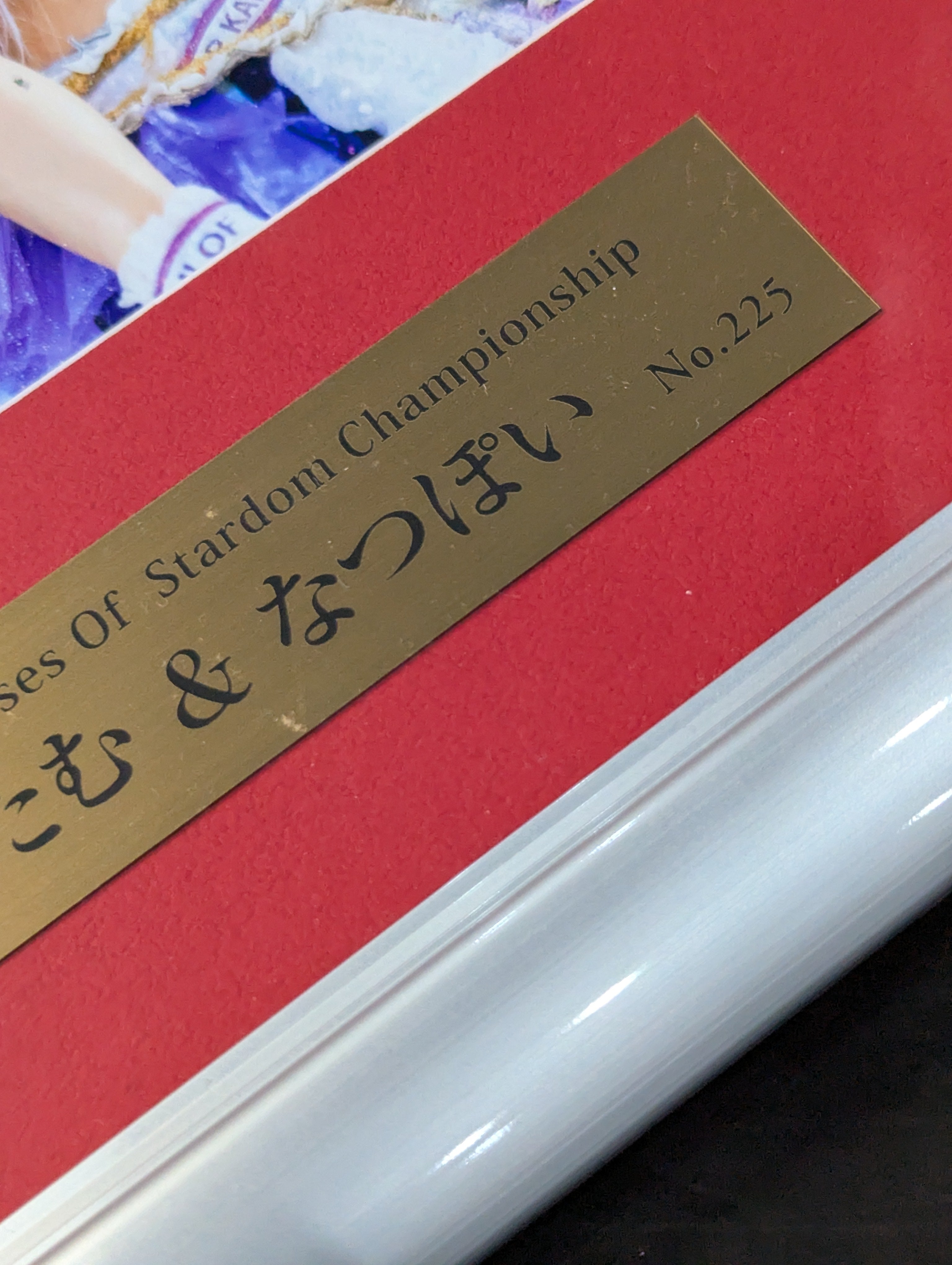 中野たむ＆なつぽい 直筆Wサイン入り 記念フォトフレーム Goddesses Of