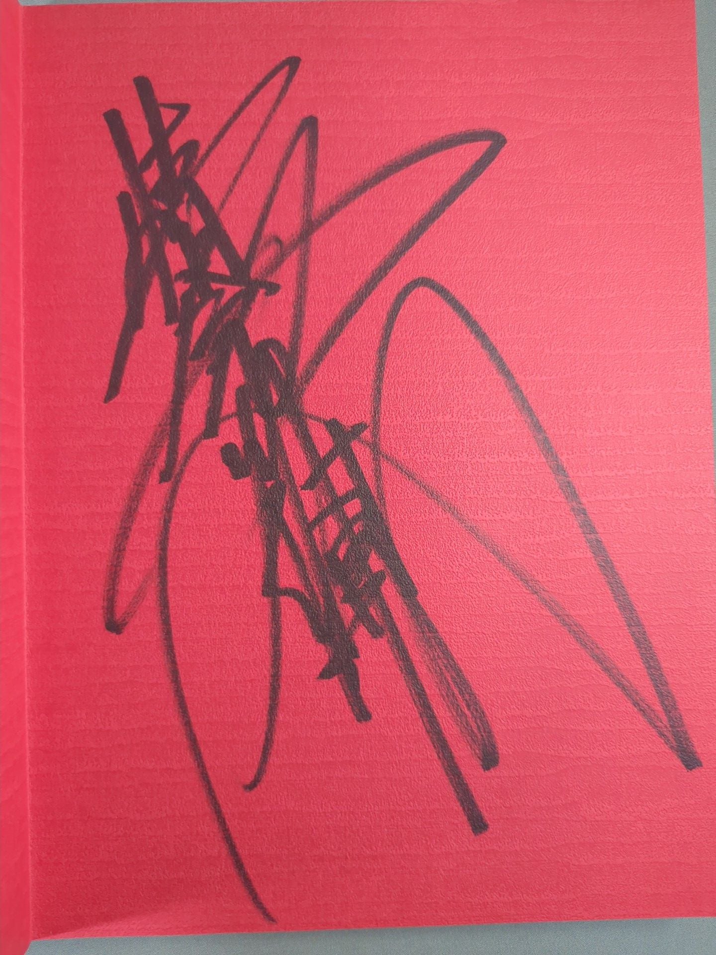 4選手直筆サイン入り】格闘男 荒木経惟vs11人のプロレスラー – 闘道館