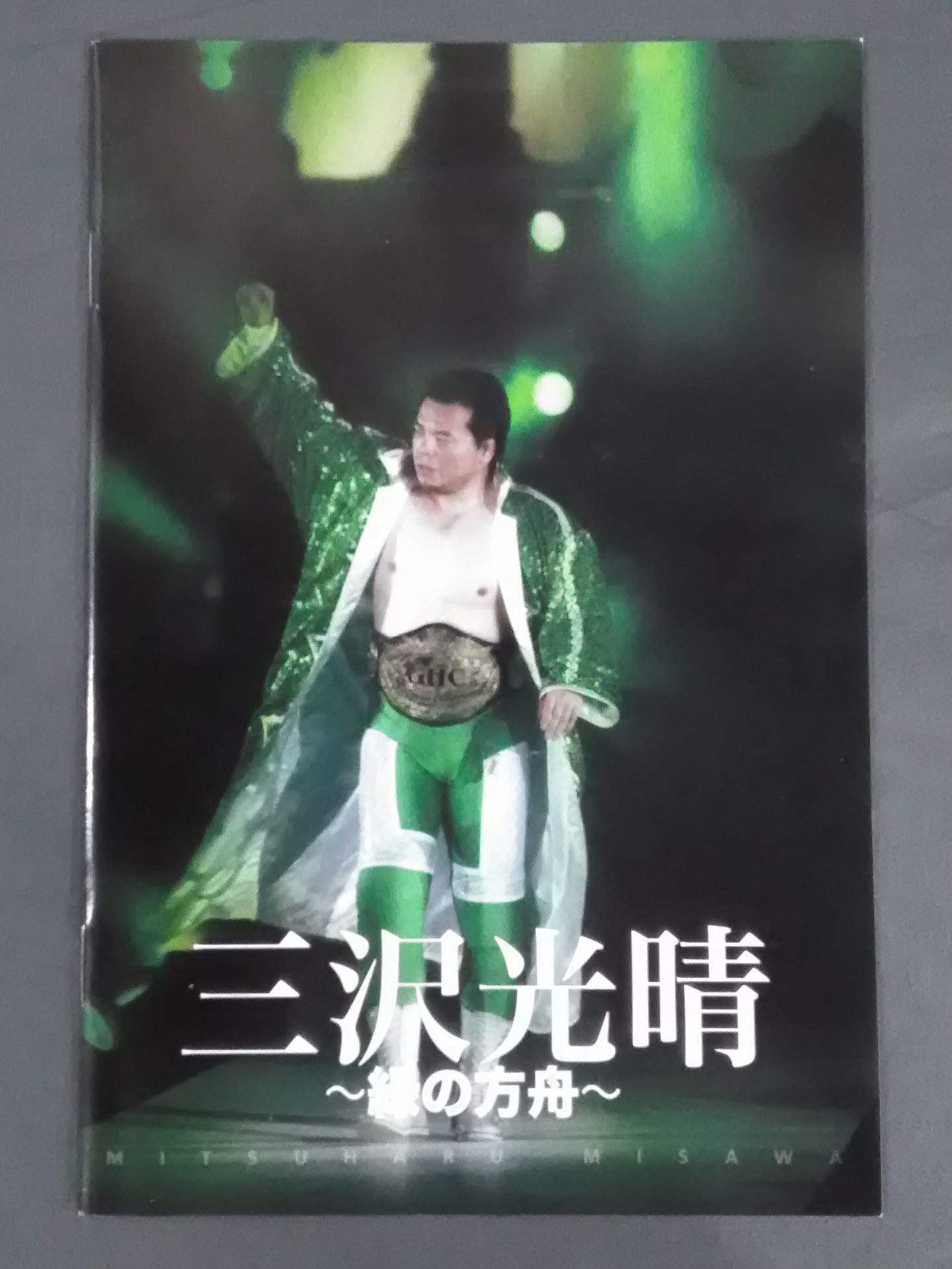 三沢光晴 ～緑の方舟～ – 闘道館