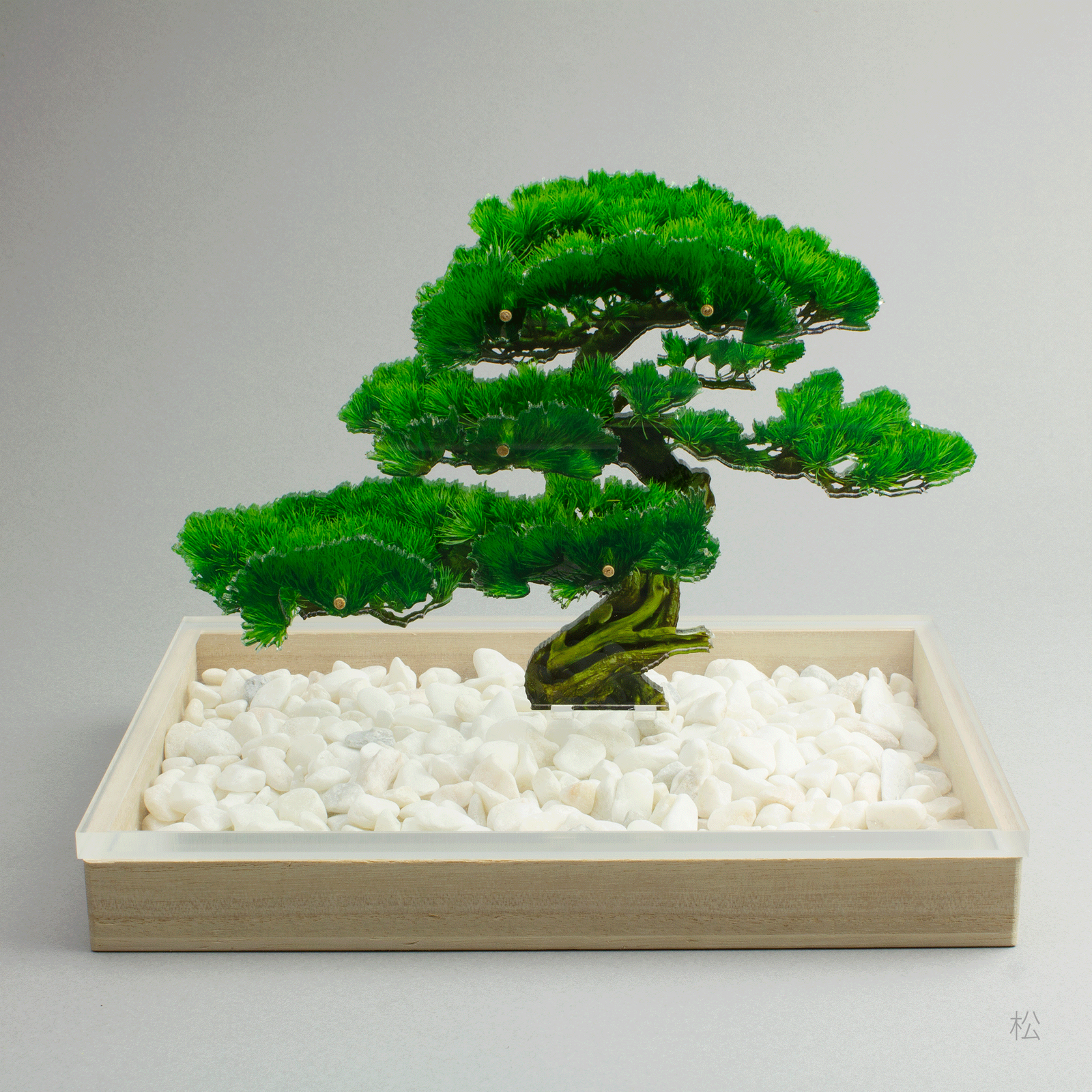 bonsai Sサイズ 松 | toumei online store