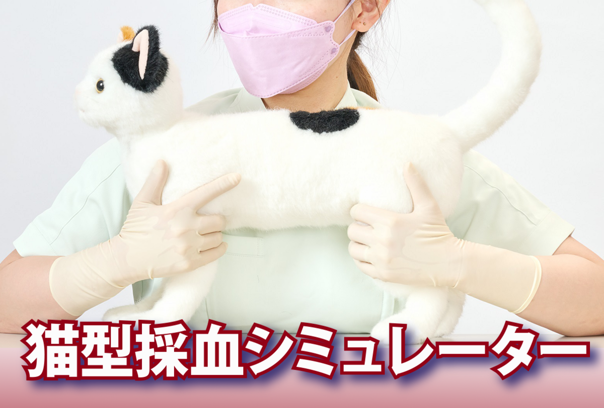 倉敷芸科大が企業と共同開発 猫型採血シミュレーター「ねこにゃん」6月