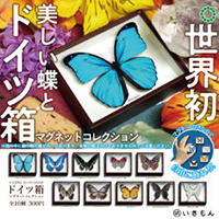 サイエンステクニカラードイツ箱マグネットコレクション 【いきもん】