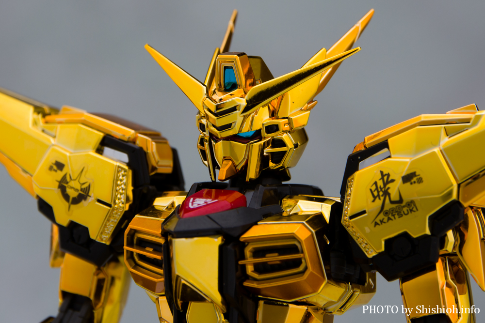 徹底レビュー】RG 1/144 アカツキガンダム(オオワシ装備)