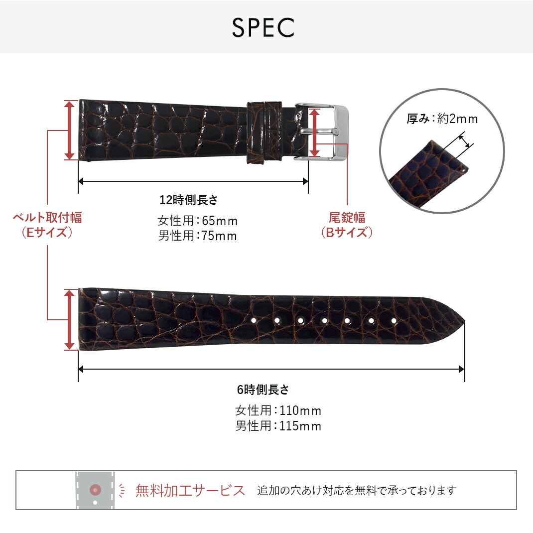 楽天市場】時計ベルト 時計 ベルト アリゲーター(ワニ革) 裏面防水