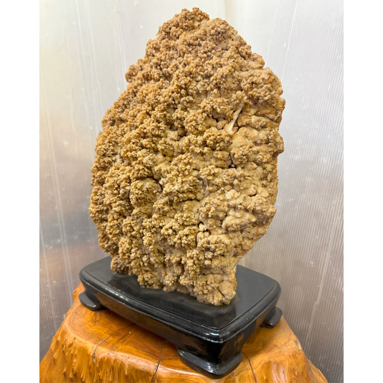 鍾乳石 天然石 天然記念 盆石 鉱物 化石 景石 結晶 古道具 オブジェ