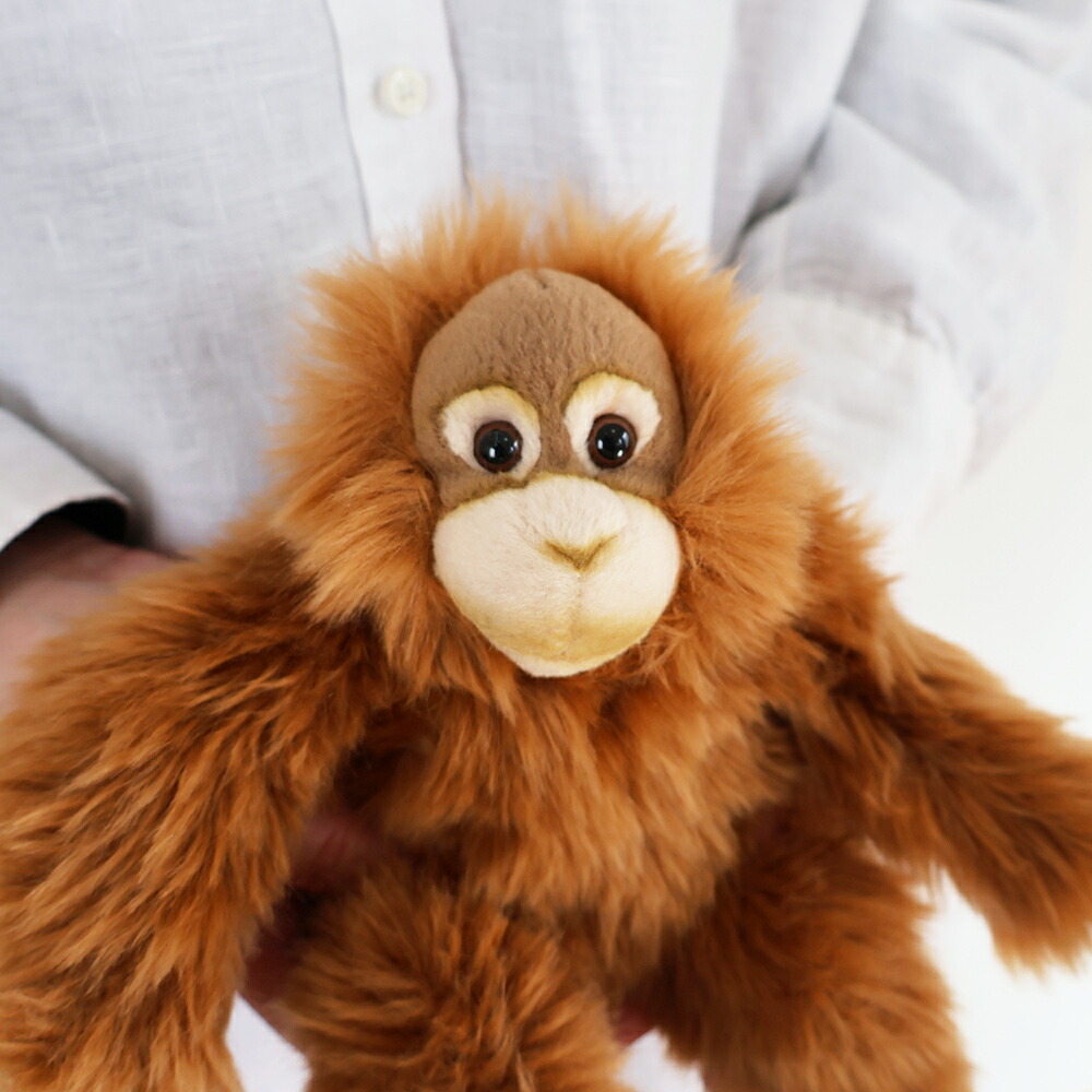 楽天市場】つぶらな瞳とふわふわ毛並みの、WWF オランウータンの