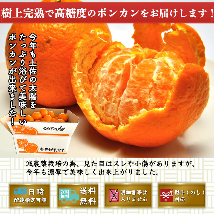 楽天市場】糖度16度 減農薬 ぽんかん 約5kg 訳あり品 高知県 室戸産