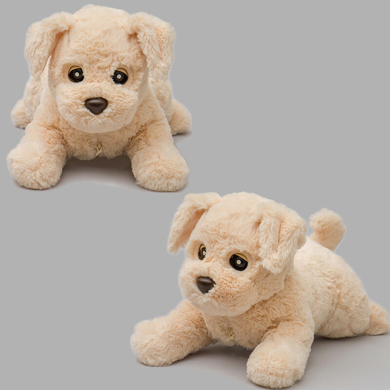 楽天市場】楽天1位獲得 すぐ使える 電池4本付 ダッキー バニラ タカラ