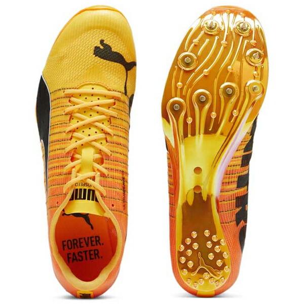 楽天市場】プーマ エヴォスピード スプリント ニトロ 2 380002-01 短