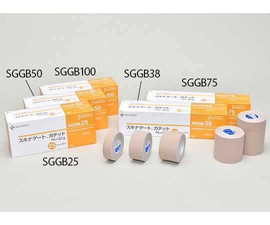 楽天市場】スキナゲートガチット 12の通販