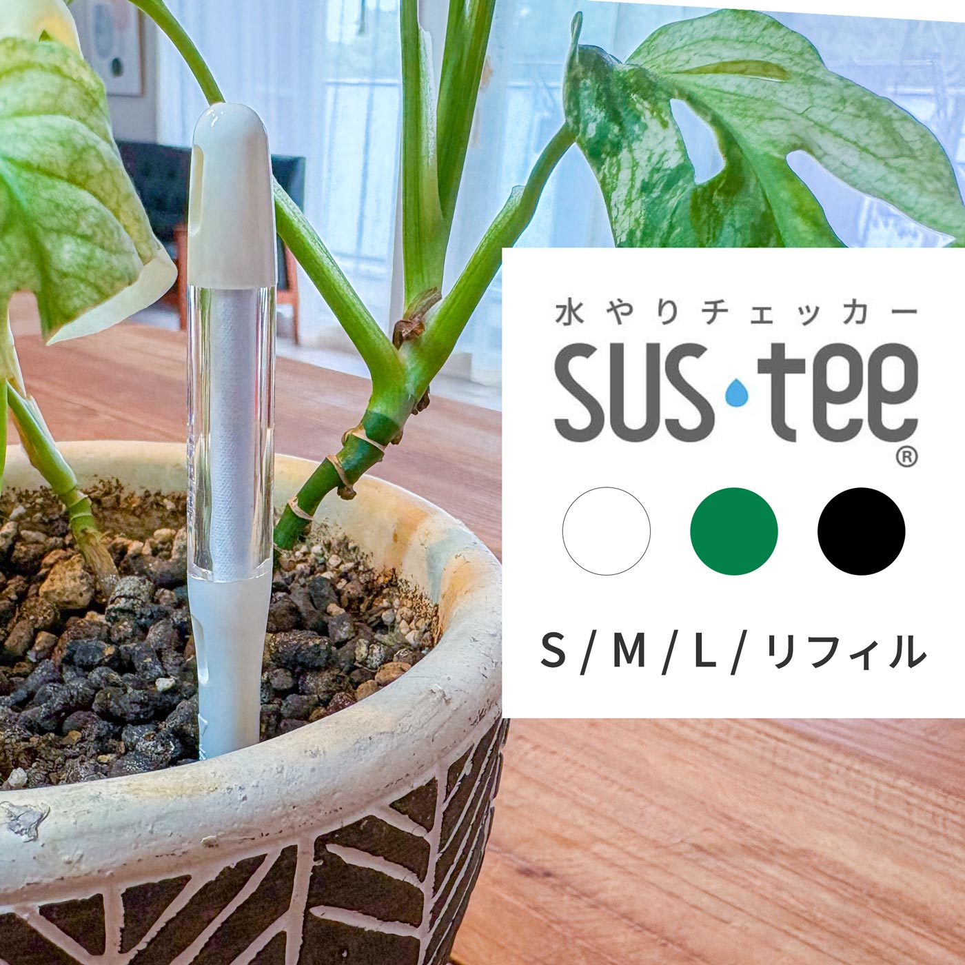 楽天市場】サスティー 水やりチェッカー S M L リフィル ホワイト