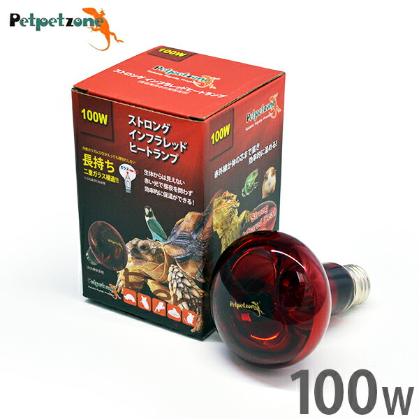 楽天市場】インフラレッド バスキング（ペット・ペットグッズ）の通販