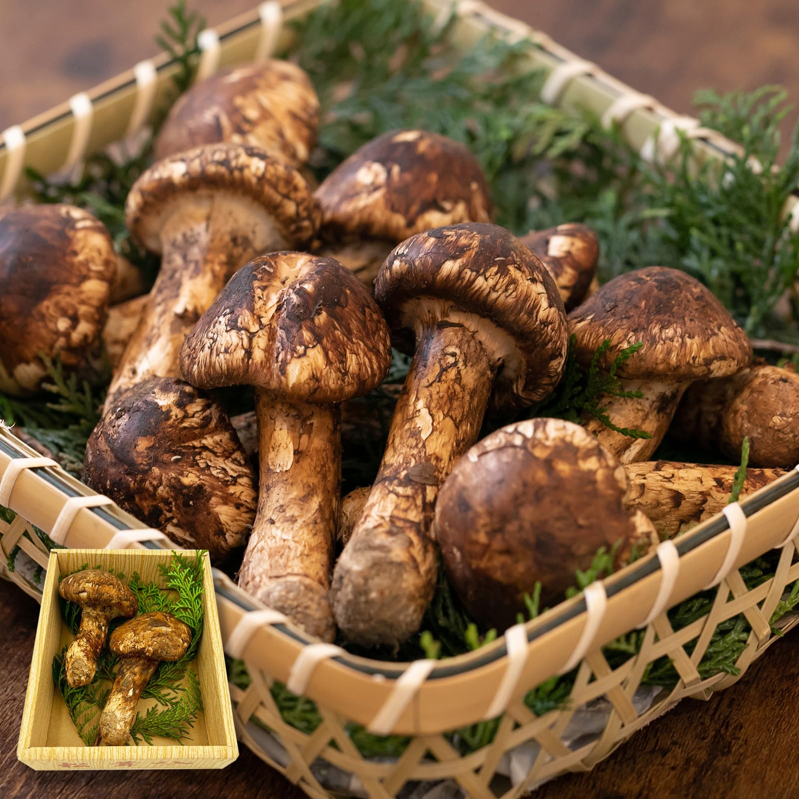 楽天市場】国産 松茸 訳あり 家庭用 100g 200g 300g 400g 500g 1kg