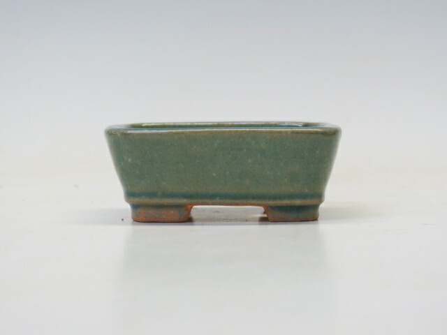 楽天市場】盆栽鉢 柴勝 長方鉢 【作家鉢 常滑焼 日本鉢 盆栽小鉢