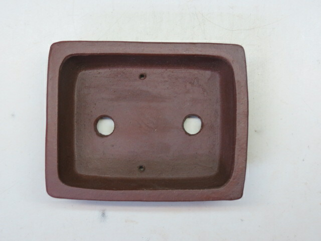 楽天市場】盆栽鉢 柴勝 長方鉢 【作家鉢 常滑焼 日本鉢 盆栽小鉢