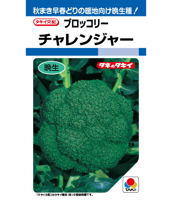 楽天市場】ブロッコリー 種子 5000粒の通販