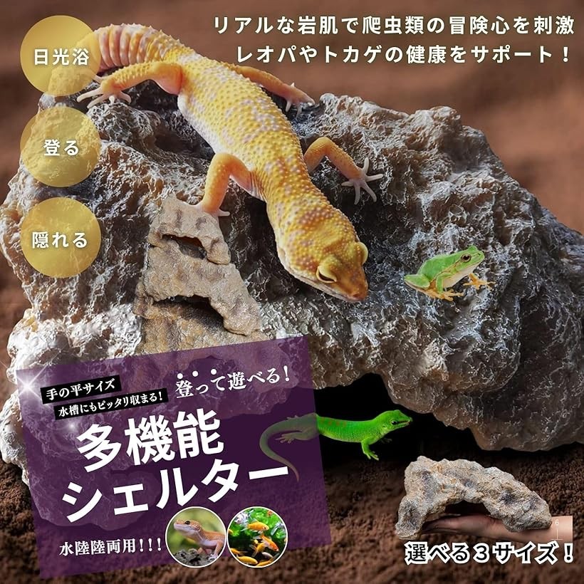 楽天市場】【楽天ランキング1位入賞】爬虫類 レオパ シェルター トカゲ