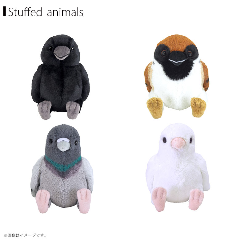 楽天市場】鳥 野鳥 ぬいぐるみ Sサイズ カラス ハトGY ハトWH スズメ
