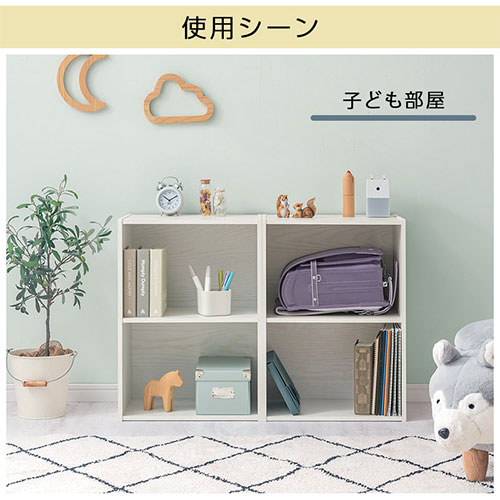 楽天市場】本棚 漫画 2列収納 2段 カラーボックス 横置き A4 1段