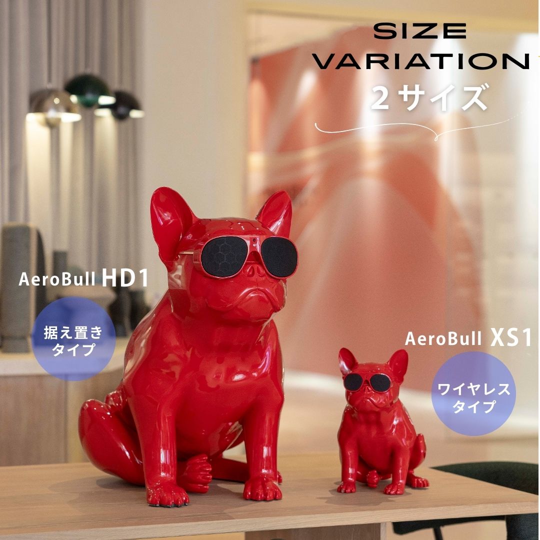 楽天市場】楽天P10倍【公式】Aerobull XS1 エアロブル エックス