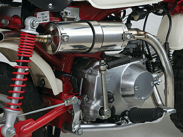 楽天市場】【3/1限定！数量限定クーポン配布！エントリーでP3倍